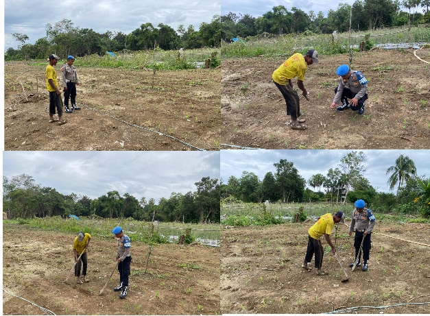 Polsek Amuntai Tengah Pantau Lahan Jagung, Sebagian Tergenang Air